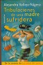 Tribulaciones De Una Madre Sufridora - Alejandra Vallejo Nagera - Temas De Hoy - 1999 - Spain - 84-7880-996-1 - 0